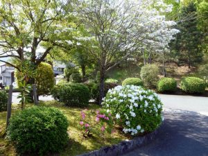 クスリ資料館　季節の花