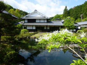 三光丸クスリ資料館　なんじゃもんじゃの木