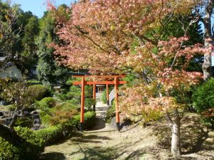 クスリ資料館／紅葉／庭