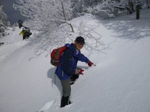 積雪量の目安となる道標。頭が少し見えているだけです。