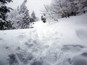 三光丸／厳冬期／大峰登山