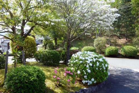 クスリ資料館　季節の花